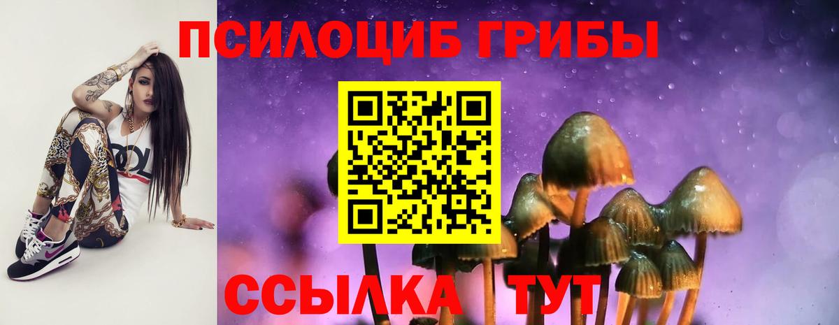 Галлюциногенные грибы прущие грибы Белгород